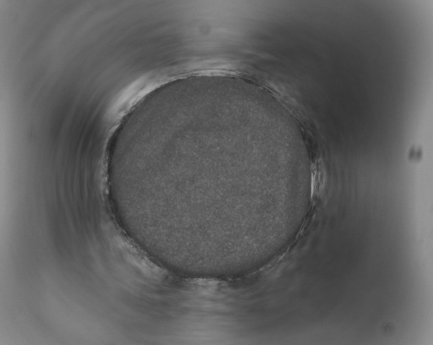 X0000110760339200907061100