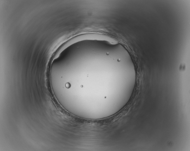 X0000110760340200907061100