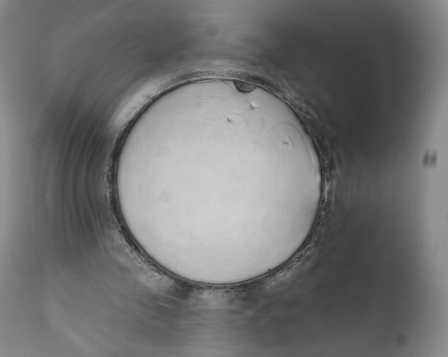 X0000110760341200907061100