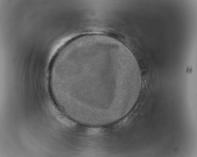X0000110760342200907061100