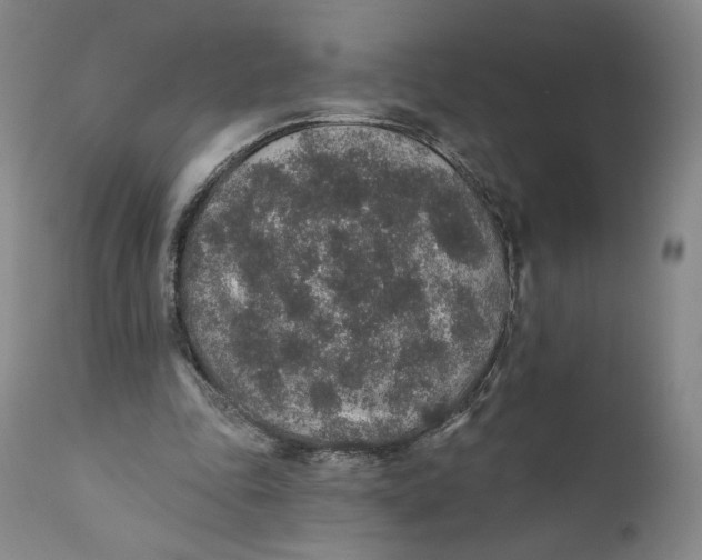 X0000110760343200907061100