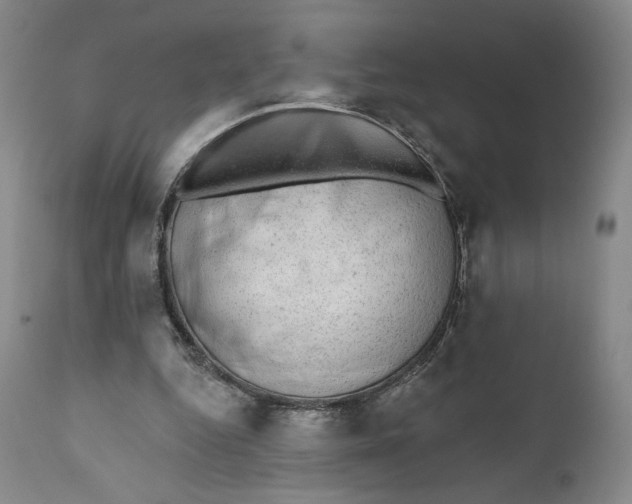 X0000110760344200907061100