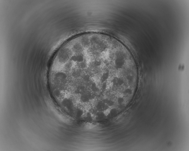 X0000110760346200907061100