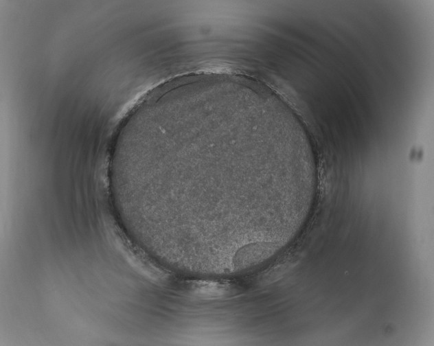 X0000110760347200907061100
