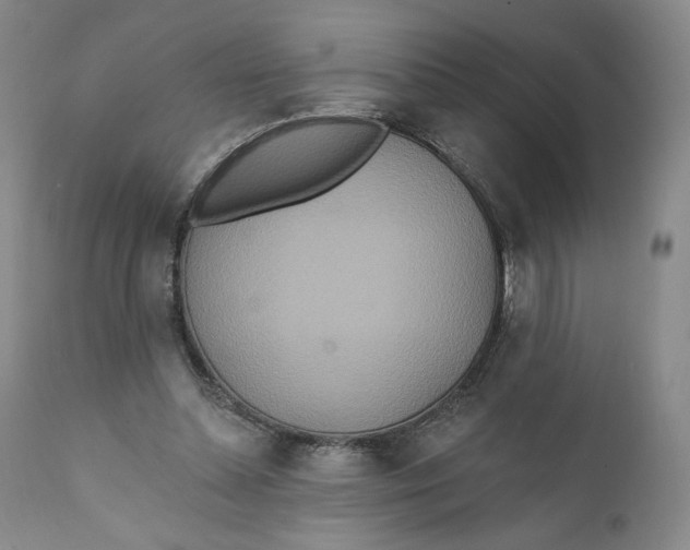 X0000110760348200907061100