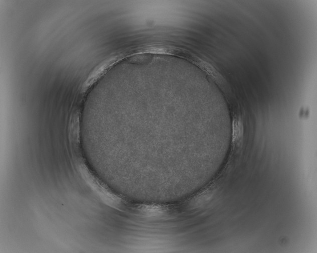 X0000110760349200907061100