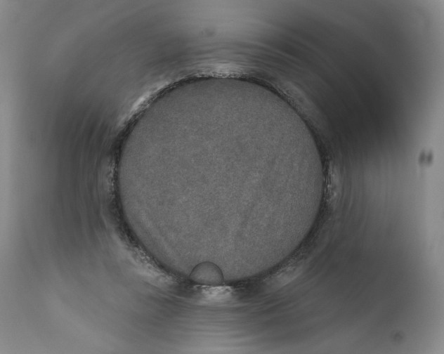 X0000110760355200907061100