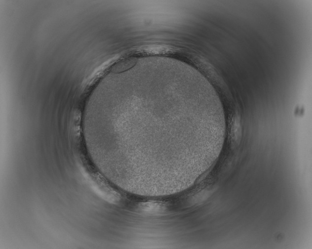 X0000110760356200907061100