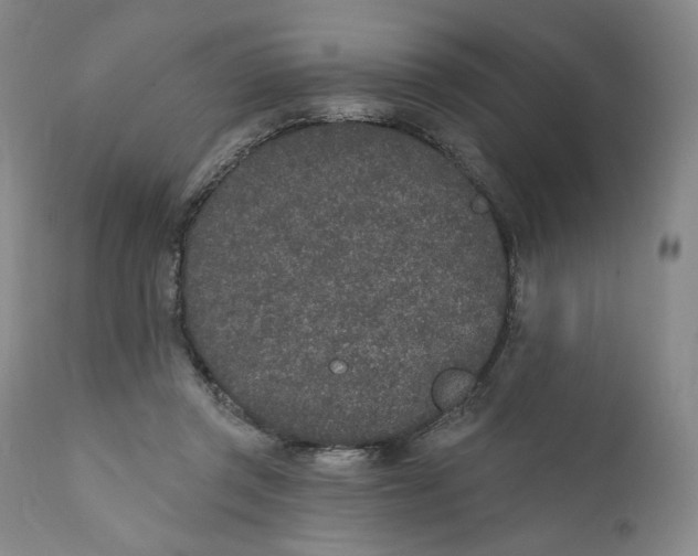 X0000110760357200907061101
