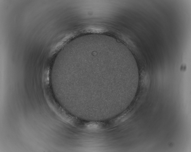 X0000110760358200907061101