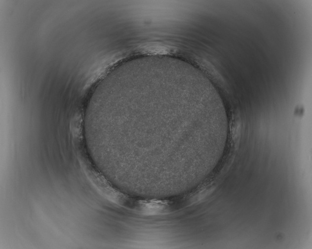 X0000110760359200907061101