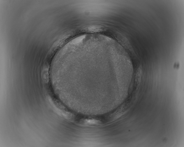 X0000110760360200907061101