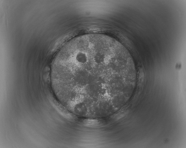 X0000110760361200907061101