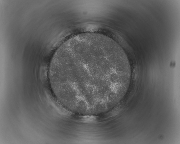 X0000110760363200907061101