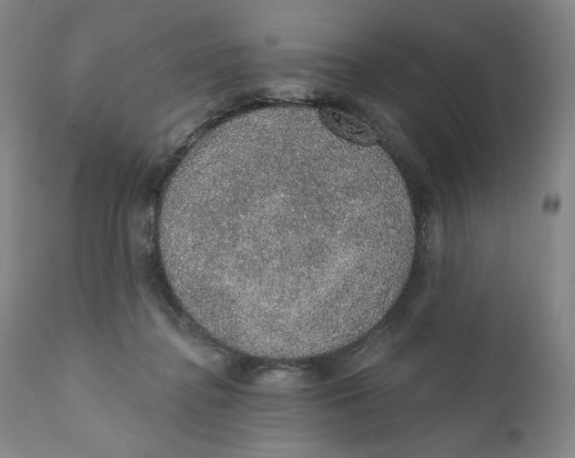 X0000110760364200907061101