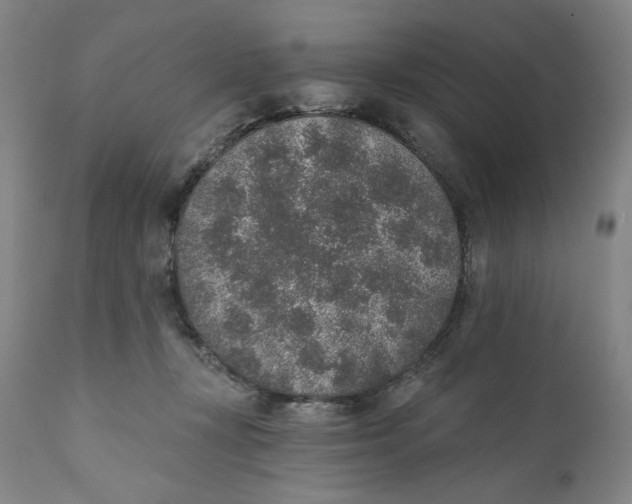 X0000110760367200907061101
