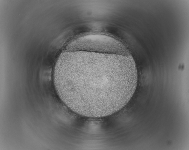 X0000110760368200907061101