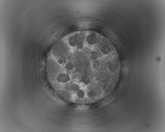X0000110760369200907061101