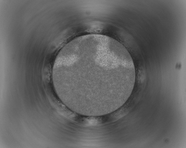 X0000110760370200907061101