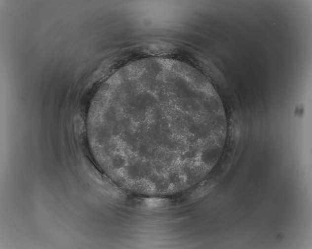 X0000110760371200907061101