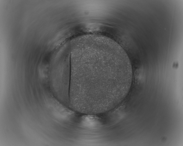 X0000110760372200907061101