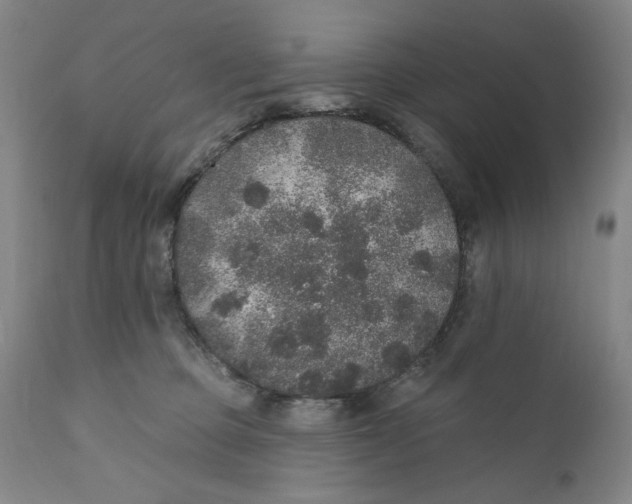 X0000110760373200907061101