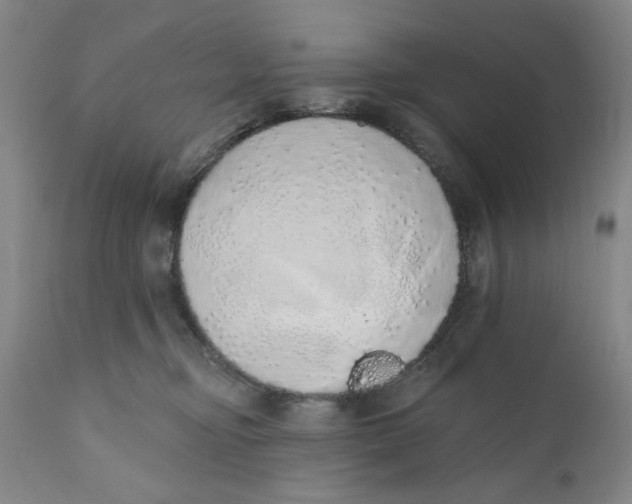 X0000110760374200907061101