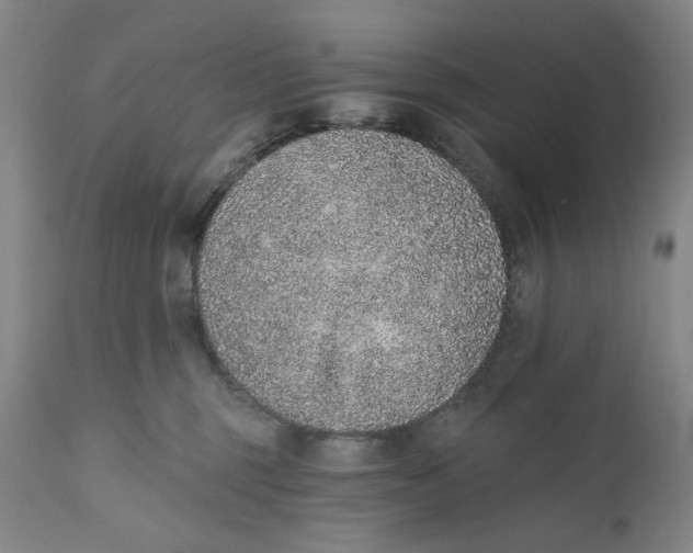 X0000110760375200907061101