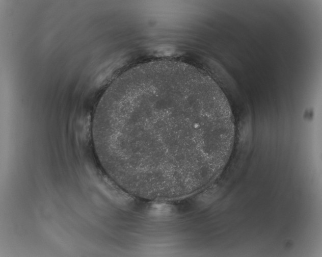 X0000110760376200907061101