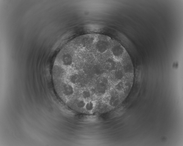X0000110760377200907061101