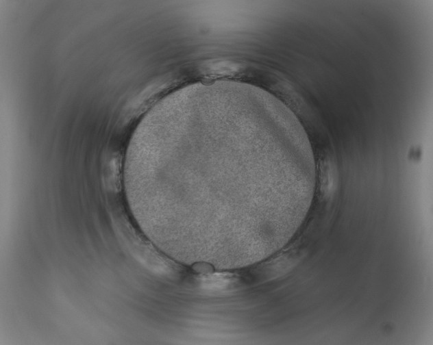X0000110760378200907061101