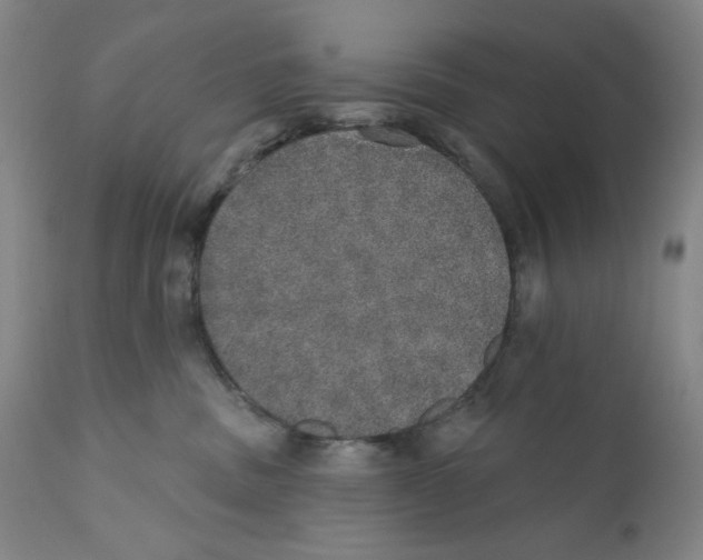 X0000110760379200907061101