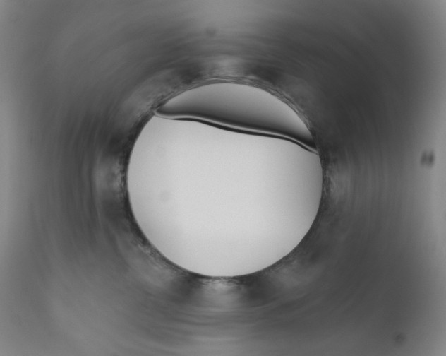 X0000110760380200907061101