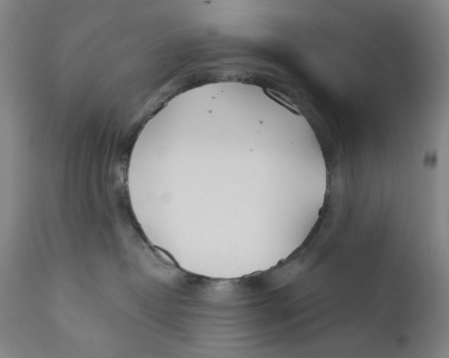 X0000110760382200907061101