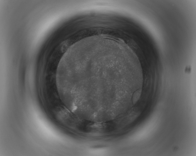 X0000110760383200907061101