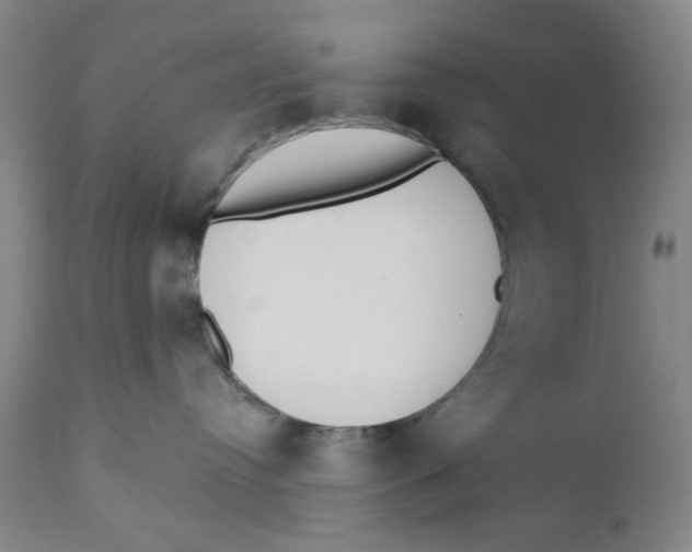 X0000110760384200907061101