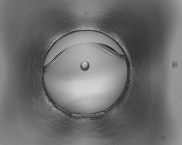 X0000110760385200907061100