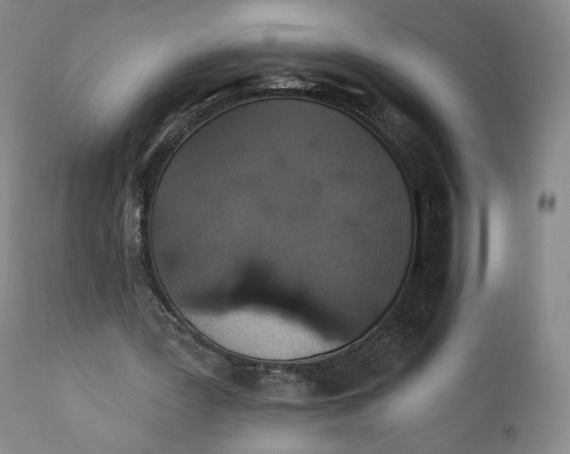 X0000110760387200907061100