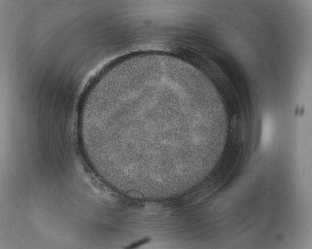 X0000110760388200907061100