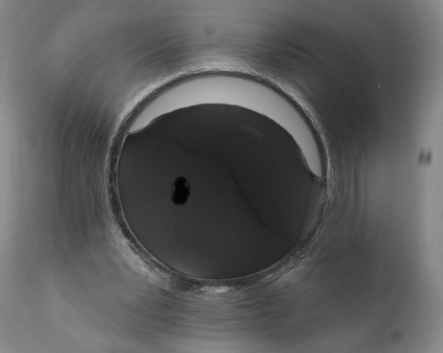 X0000110760391200907061100