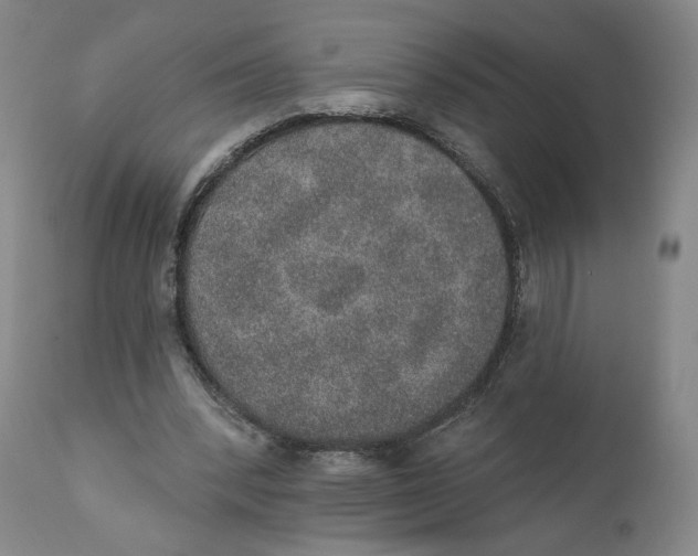 X0000110760392200907061100