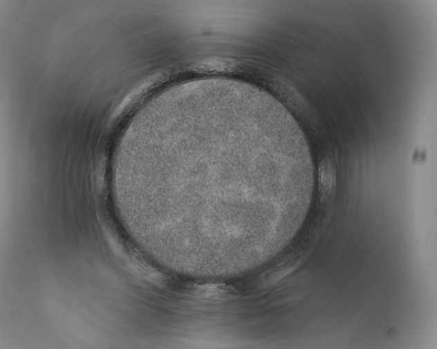 X0000110760396200907061100