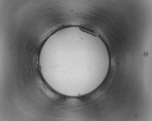 X0000110760397200907061100