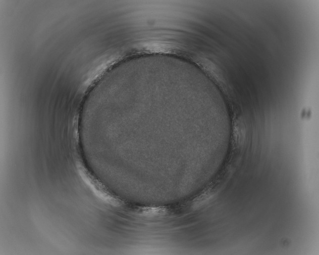 X0000110760398200907061100