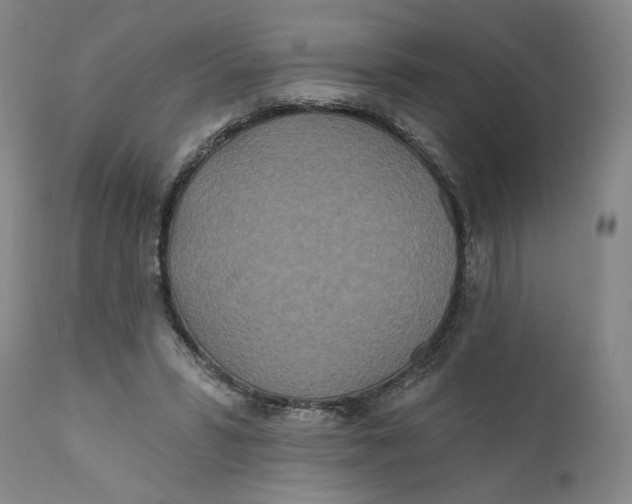 X0000110760399200907061100