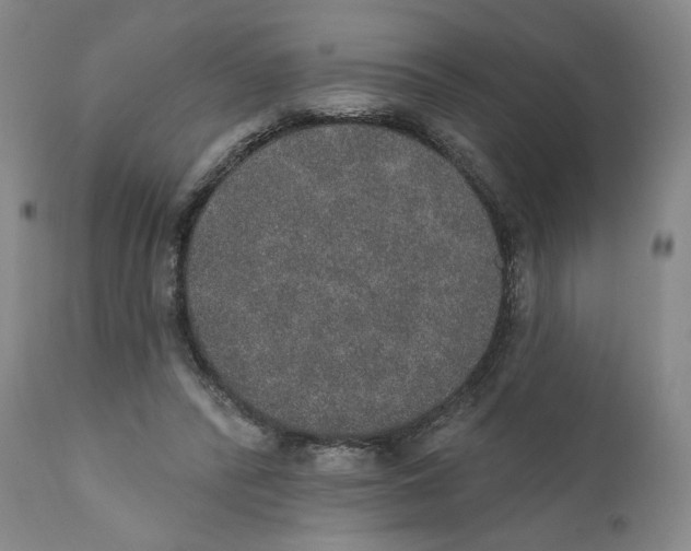X0000110760400200907061100