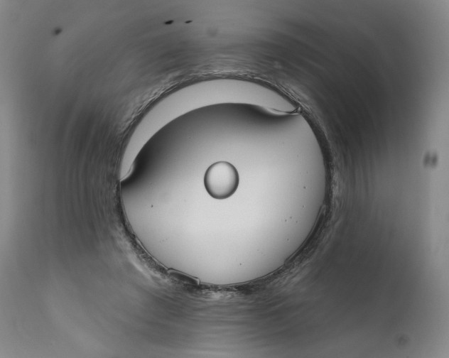 X0000110760401200907061100