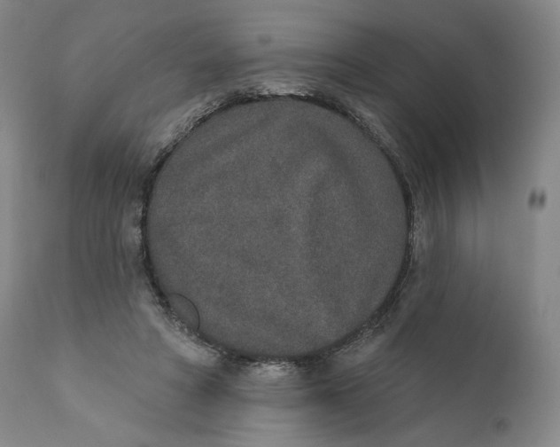 X0000110760402200907061100