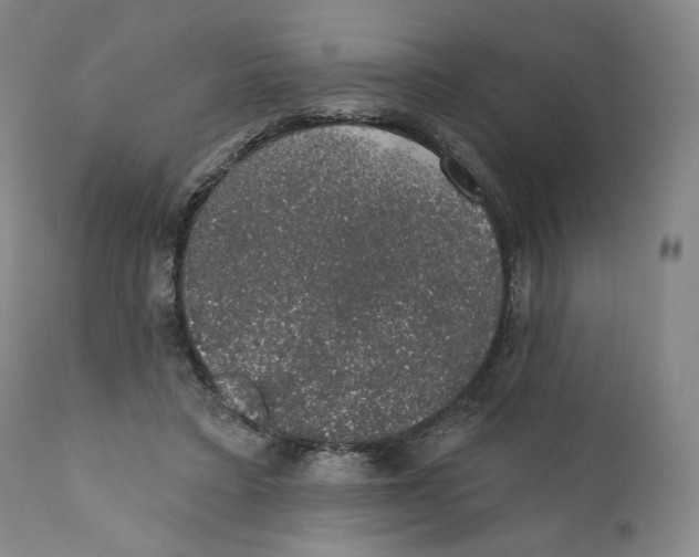 X0000110760403200907061100