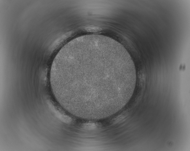 X0000110760404200907061100
